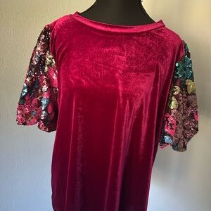 Velvet Sequin Sleeve Top - Purple/Maroon hue. Color may vary in lighting.
NWOT